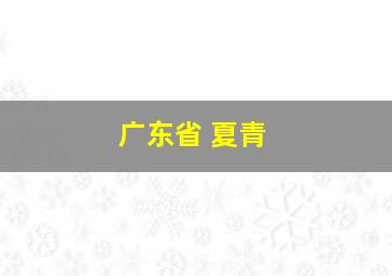 广东省 夏青